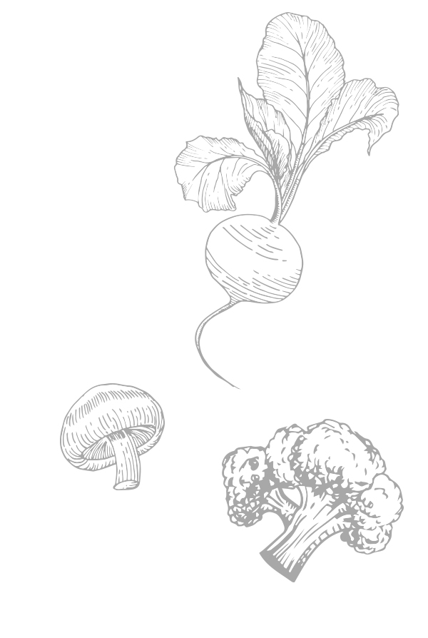 legume-2